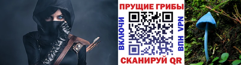 наркотики  Игра  Галлюциногенные грибы прущие грибы 